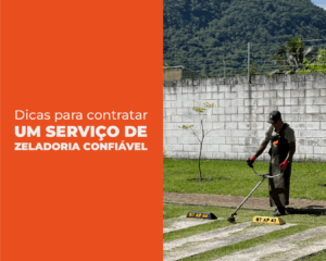 Selva-Blog